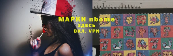 гашик Белокуриха
