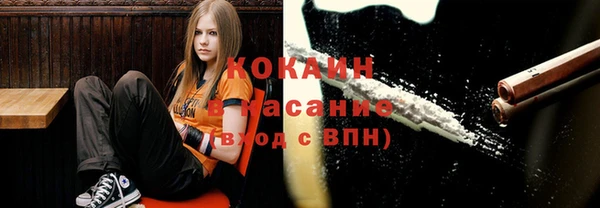 прущие грибы Белоозёрский