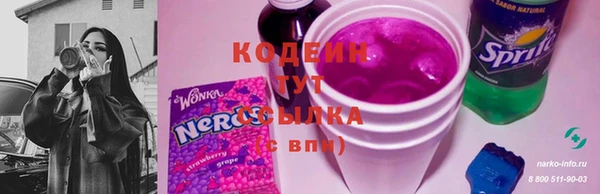 гашик Белокуриха