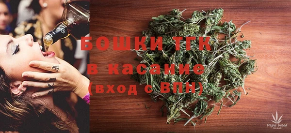крисы Баксан