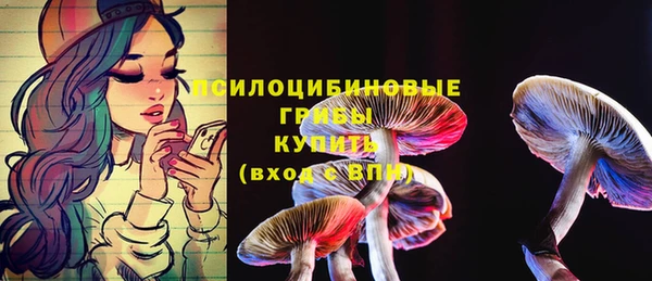гашик Белокуриха