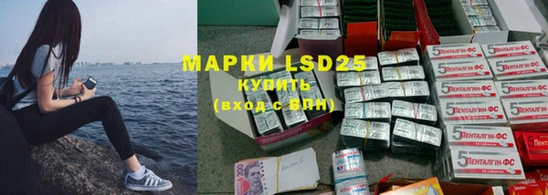 прущие грибы Белоозёрский