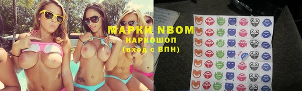 прущие грибы Белоозёрский