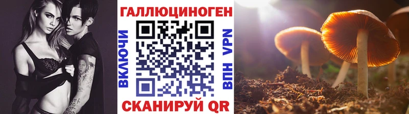 Псилоцибиновые грибы Magic Shrooms  Луховицы 